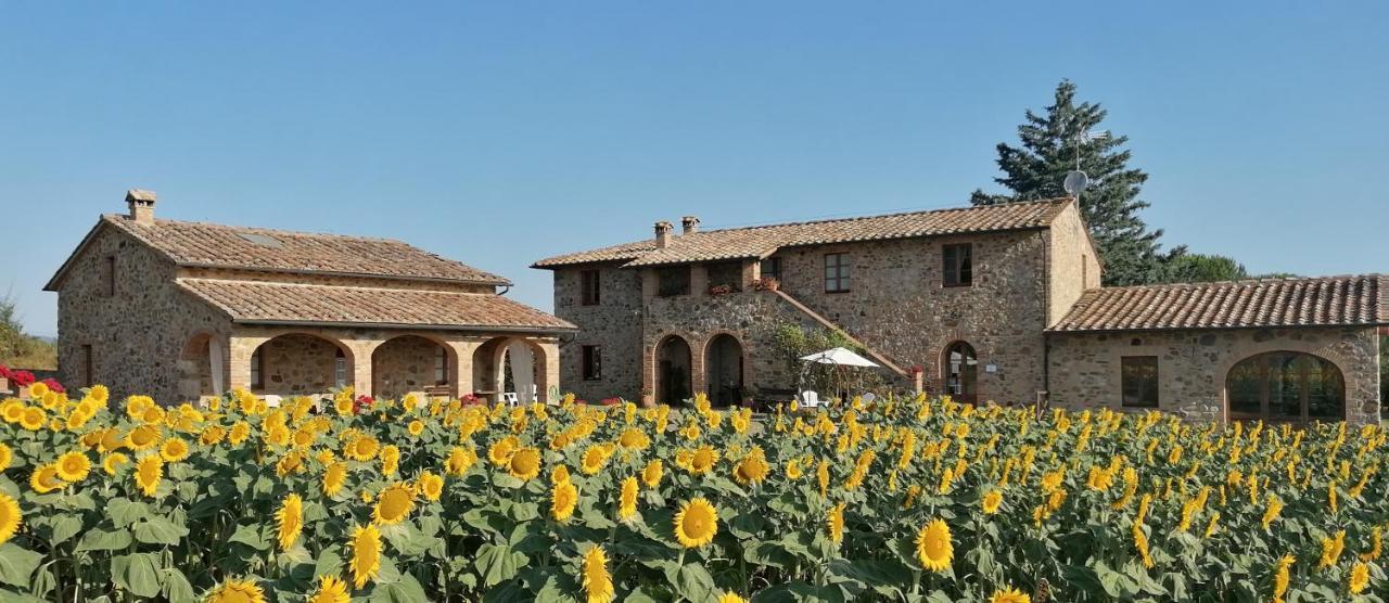 Casetta Della Pina Monticiano Exteriér fotografie